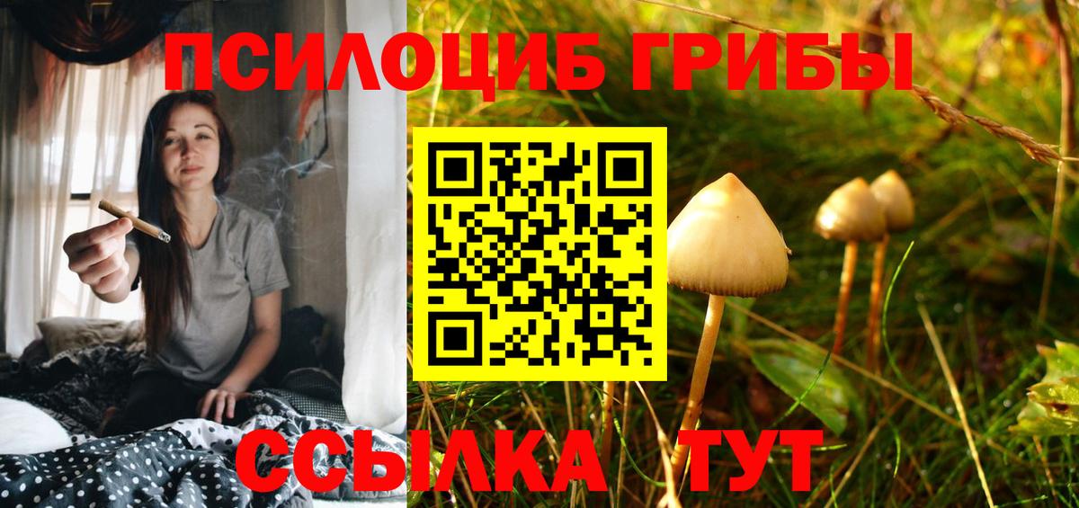 Галлюциногенные грибы Psilocybe  Вход с VPN  Артёмовский 